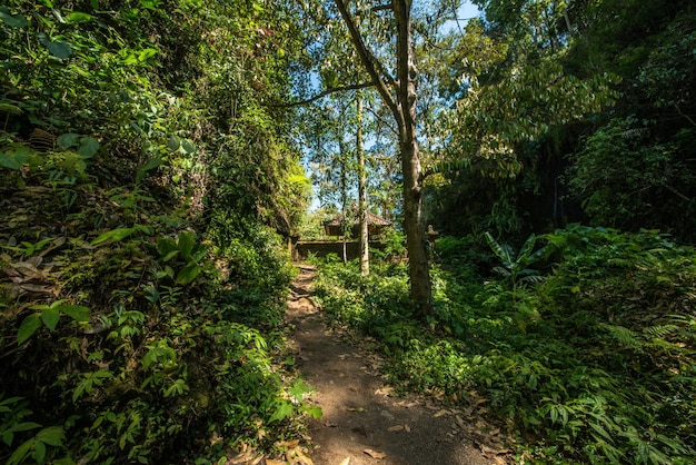 Uma bela vista da localização da trilha em Bali Indonésia