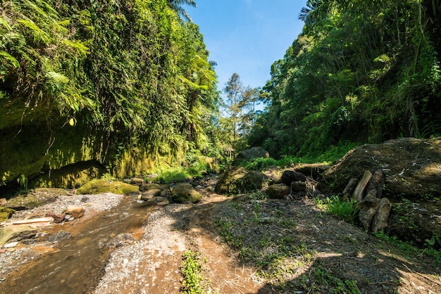 Uma bela vista da localização da trilha em Bali Indonésia