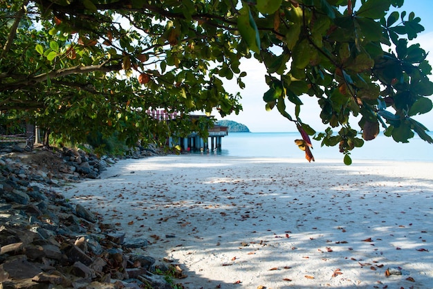 Uma bela vista da praia de Pantai Cenang em Langkawi Malásia