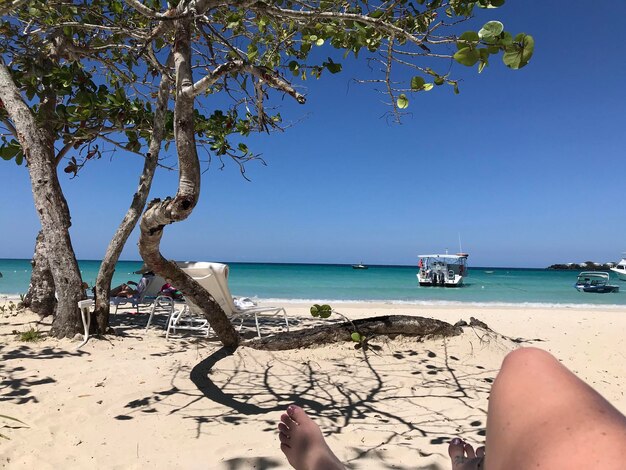 Foto uma bela vista da praia no havaí.