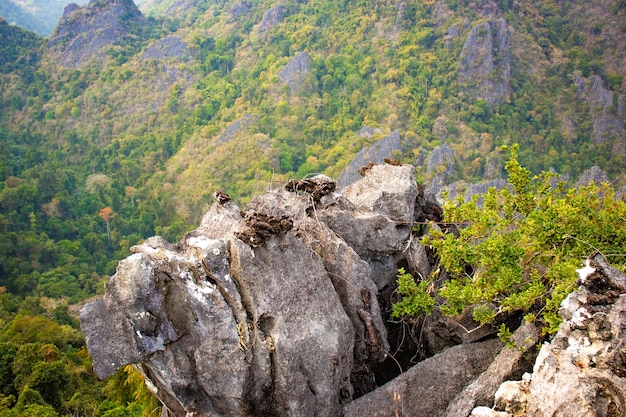 Foto uma bela vista das montanhas na cidade de vang vieng laos