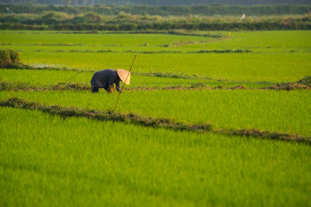 Uma bela vista de Hoi An no Vietnã