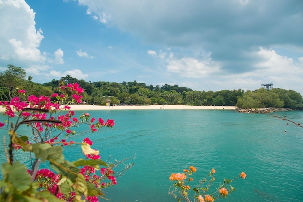 Uma bela vista de Sentosa Islanda localizada em Cingapura