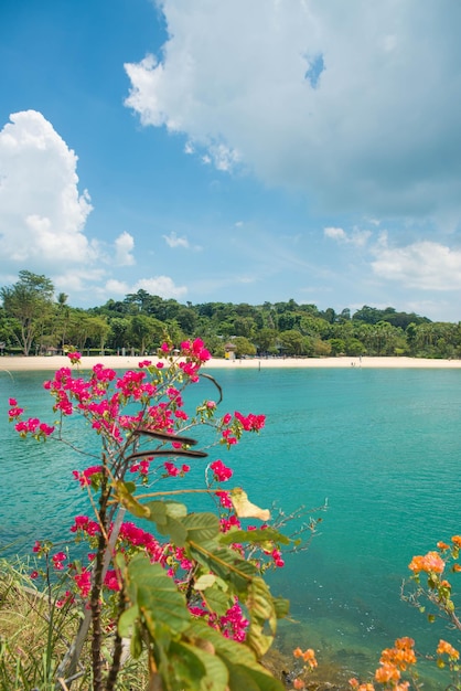 Uma bela vista de Sentosa Islanda localizada em Cingapura