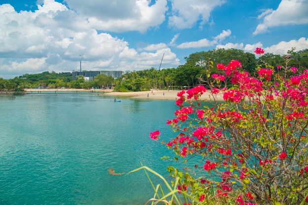 Uma bela vista de Sentosa Islanda localizada em Cingapura