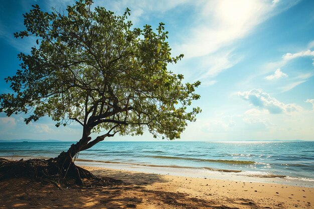 Foto uma bela vista de uma árvore na praia de areia