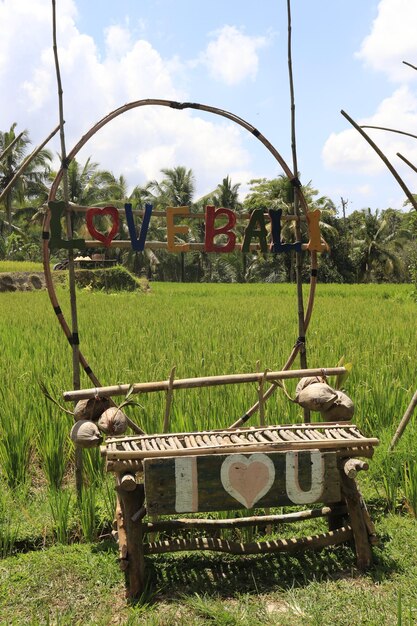 Uma bela vista do campo de arroz em Bali Indonésia