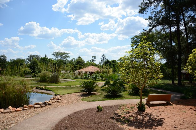 Uma bela vista do jardim botânico localizado em Brasília Brasil