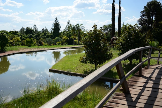 Uma bela vista do jardim botânico localizado em Brasília Brasil