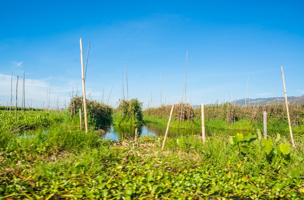 Uma bela vista do Lago Inle localizado em Mianmar