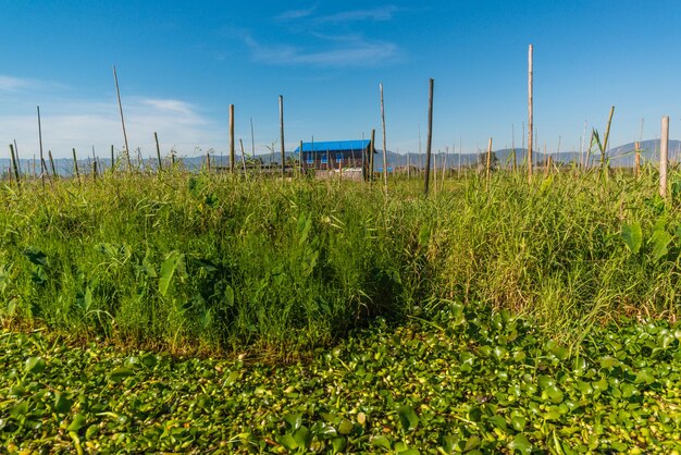 Uma bela vista do Lago Inle localizado em Mianmar