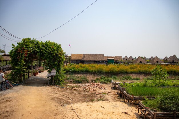 Uma bela vista do Lotus Flower Field Restaurant localizado em Siem Reap Camboja