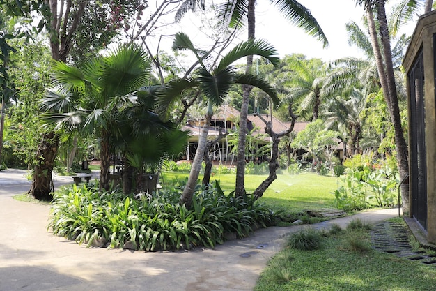 Uma bela vista do Parque das Aves localizado em Bali Indonésia