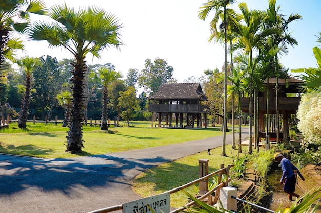 Uma bela vista do templo budista localizado em Chiang Mai Tailândia