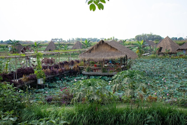 Uma bela vista do templo budista localizado em Siem Reap Camboja