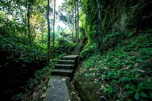 Uma bela vista do templo Gunung Kawi localizado em Bali Indonésia