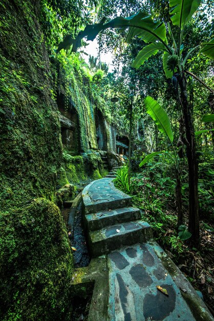 Uma bela vista do templo Gunung Kawi localizado em Bali Indonésia