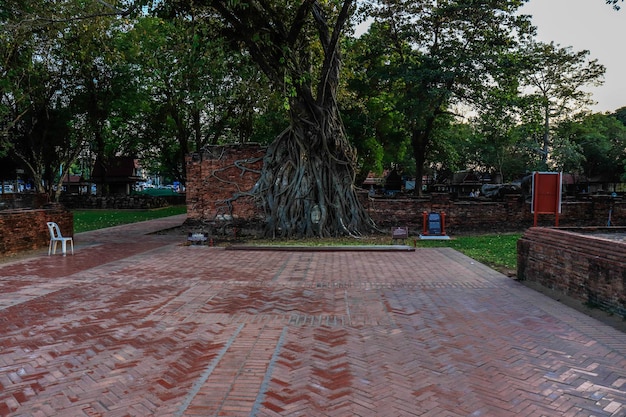 Uma bela vista do templo Wat Mahathat localizado em Ayutthaya Tailândia