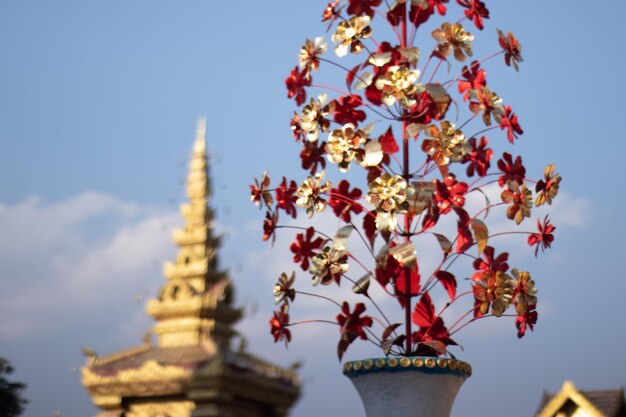 Uma bela vista do templo Wat Saeng Kaeo localizado em Chiang Rai Tailândia