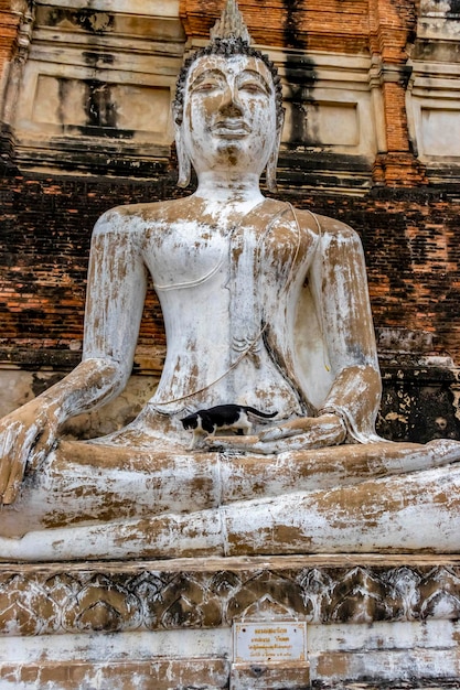 Uma bela vista do templo Wat Yai Chai Mongkhon localizado em Ayutthaya Tailândia