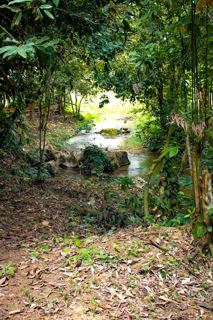 Foto uma bela vista panorâmica da cidade de vang vieng localizada no laos