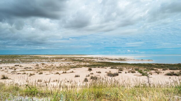 Uma bela vista panorâmica da panela etosha