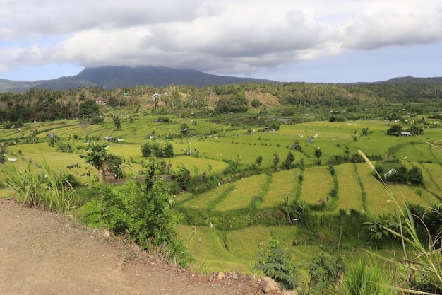 Uma bela vista panorâmica de bali indonésia