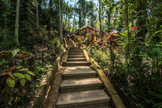 Uma bela vista panorâmica de bali indonésia