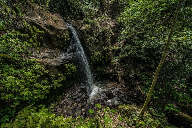 Uma bela vista panorâmica de bali indonésia