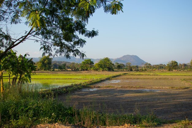 Uma bela vista panorâmica de chiang rai na tailândia