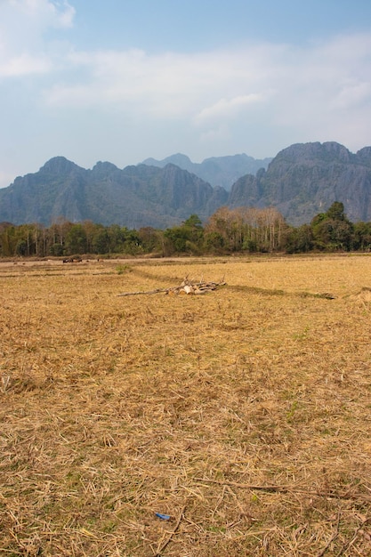 Uma bela vista panorâmica de Vang Vieng no Laos