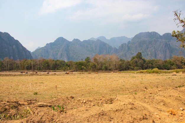 Uma bela vista panorâmica de Vang Vieng no Laos