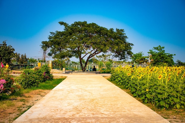 Uma bela vista panorâmica de Vientiane Laos