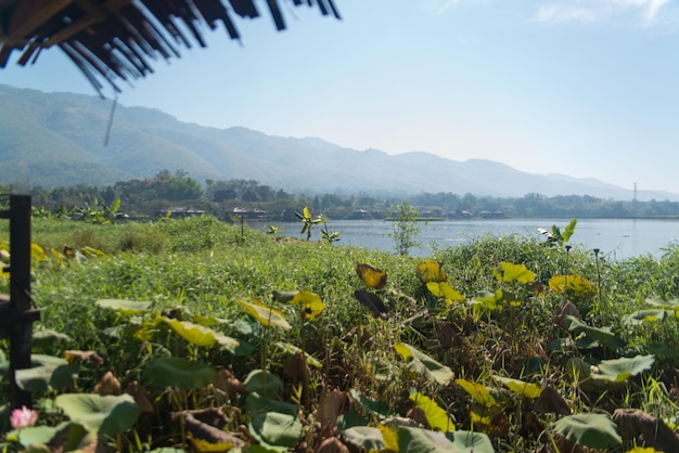 Uma bela vista panorâmica do Lago Inle em Mianmar