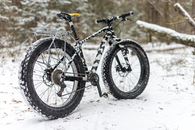 Uma bicicleta gorda parada na floresta no inverno