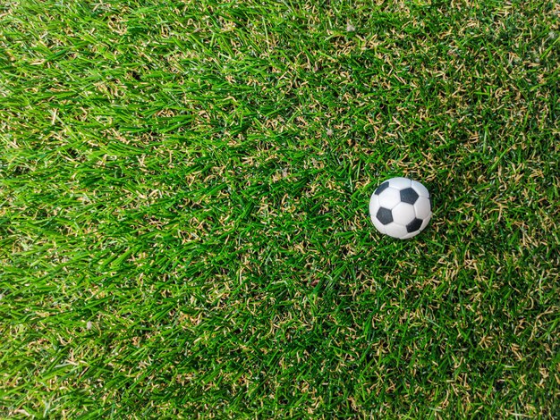 Uma bola está no meio de um campo com espaço de cópia para texto