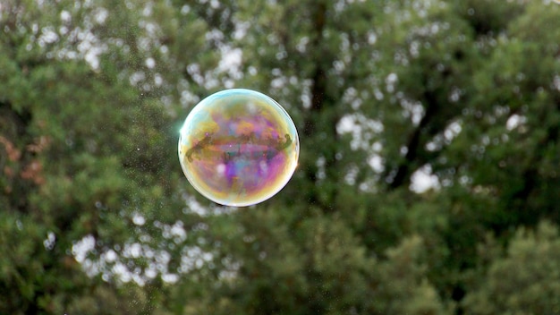 Foto uma bolha de sabão na frente das árvores