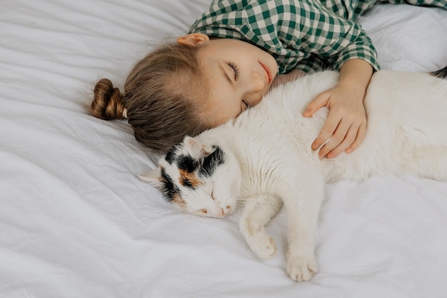 uma bonita menina de seis anos adormeceu doce ao lado de um gato fofo em sua cama criança com gato dormir na cama branca