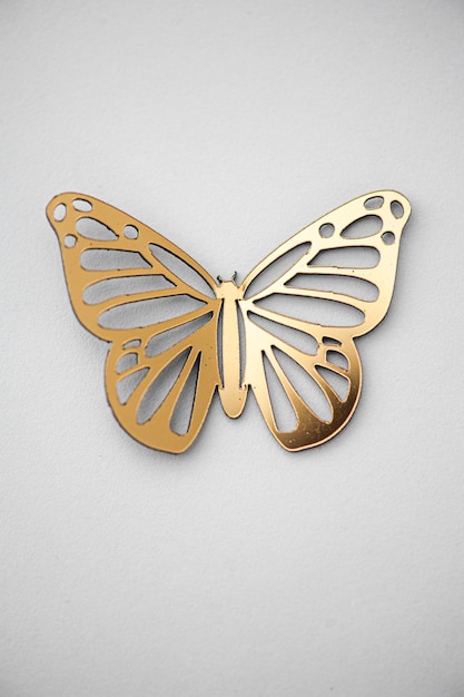 Uma borboleta dourada com uma borboleta branca.