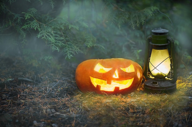 Uma brilhante jack o lantern em uma floresta escura de névoa no halloween.