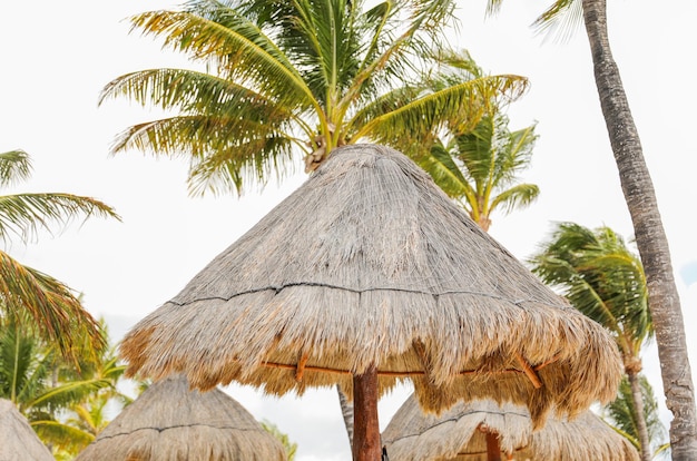 Uma cabana de praia com telhado de palha e palmeiras ao fundo.