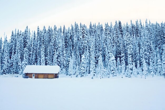 uma cabana na neve com árvores ao fundo