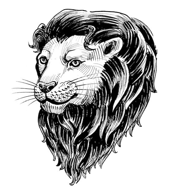 Uma cabeça de leão com uma juba preta e um fundo branco.