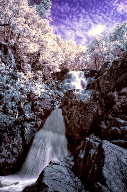 uma cachoeira é cercada por rochas e árvores