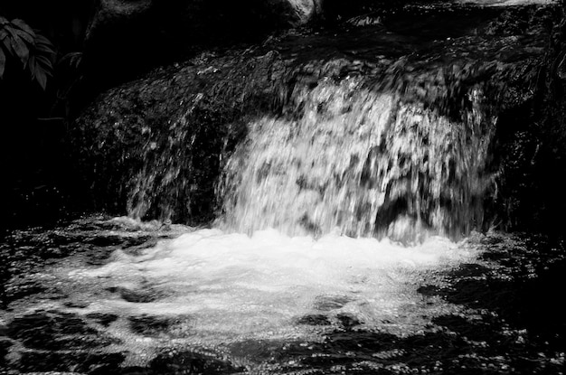 Foto uma cachoeira na floresta está na foto em preto e branco