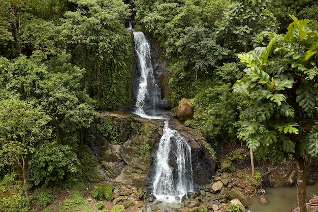 Uma cachoeira na selva tropical água correndo por um penhasco rochoso