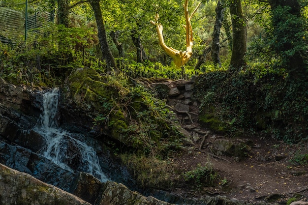 Uma cachoeira no arbre d'or na floresta broceliande uma floresta mística francesa