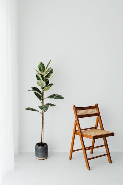 uma cadeira de madeira com uma planta e um vaso de plantas no chão.