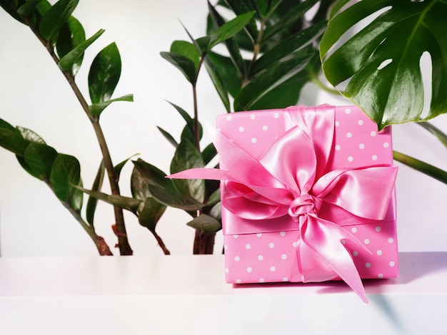 Uma caixa de presente com uma fita rosa ao lado das folhas da planta da casa.