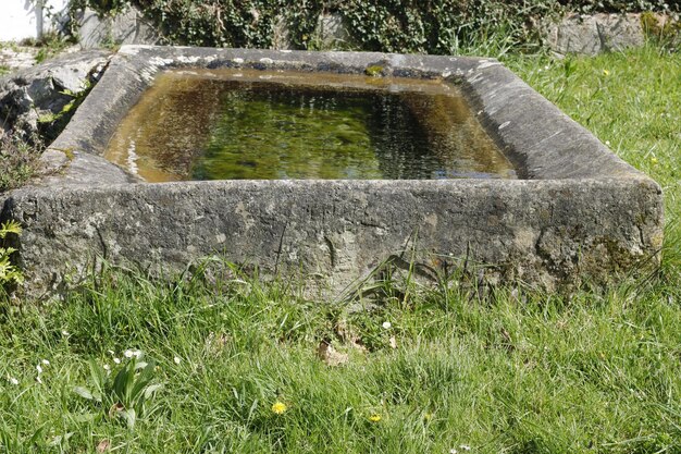 Uma calha de água de pedra em um jardim com um gramado verde e a palavra a palavra na parte inferior